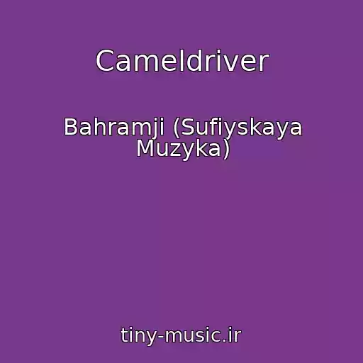 کاور آهنگ Cameldriver از Bahramji (Sufiyskaya Muzyka)