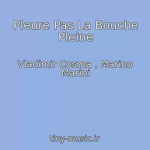 کاور آهنگ Pleure Pas La Bouche Pleine از Vladimir Cosma , Marino Marini