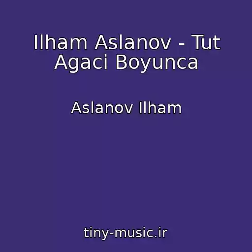 کاور آهنگ Ilham Aslanov - Tut Agaci Boyunca از Aslanov Ilham