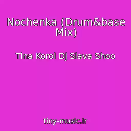 کاور آهنگ Nochenka (Drum&base Mix) از Tina Korol Dj Slava Shoo