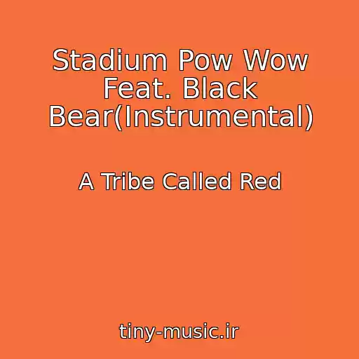 کاور آهنگ Stadium Pow Wow Feat. Black Bear(Instrumental) از A Tribe Called Red