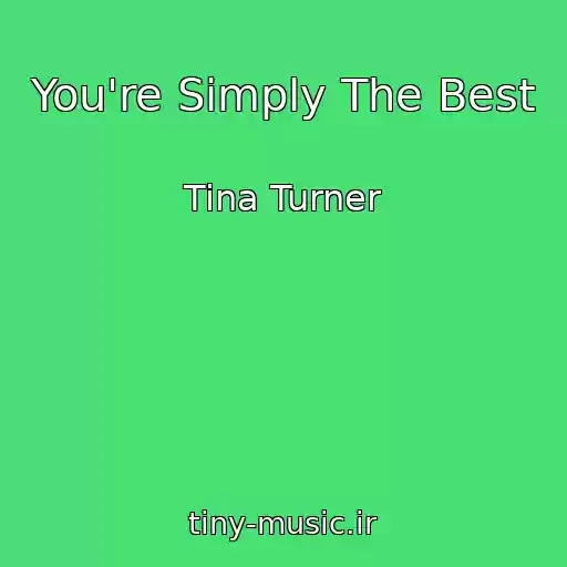 کاور آهنگ You're Simply The Best از Tina Turner