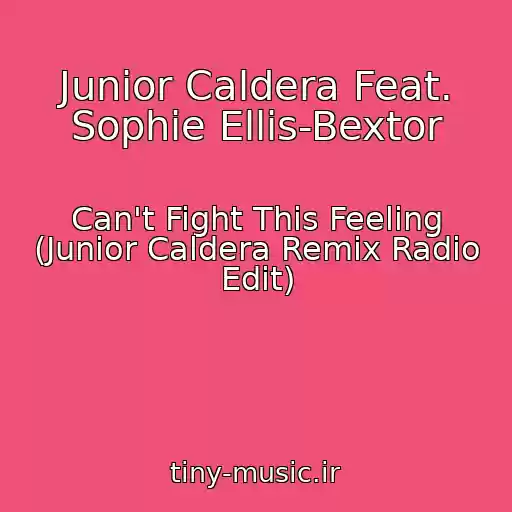 کاور آهنگ Junior Caldera Feat. Sophie Ellis-Bextor از Can't Fight This Feeling (Junior Caldera Remix Radio Edit)