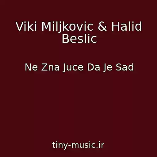 کاور آهنگ Viki Miljkovic & Halid Beslic از Ne Zna Juce Da Je Sad