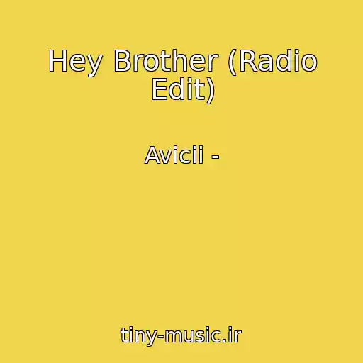 کاور آهنگ Hey Brother (Radio Edit) از Avicii -