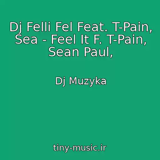 کاور آهنگ Dj Felli Fel Feat. T-Pain, Sea - Feel It F. T-Pain, Sean Paul, از Dj Muzyka