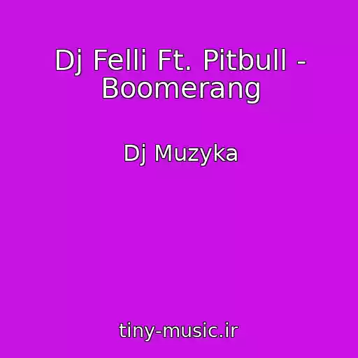 کاور آهنگ Dj Felli Ft. Pitbull - Boomerang از Dj Muzyka