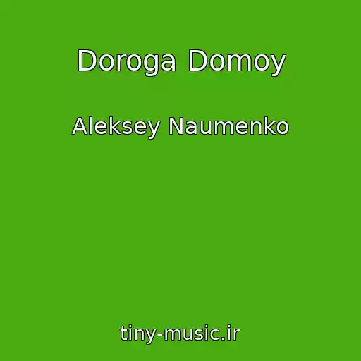 کاور آهنگ Doroga Domoy از Aleksey Naumenko