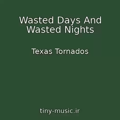 کاور آهنگ Wasted Days And Wasted Nights از Texas Tornados