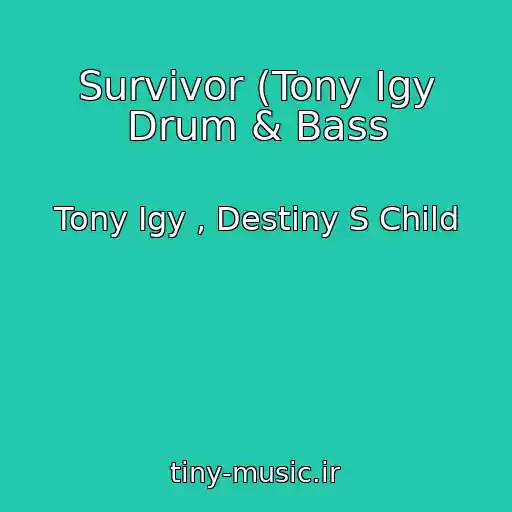کاور آهنگ Survivor (Tony Igy Drum & Bass از Tony Igy , Destiny S Child