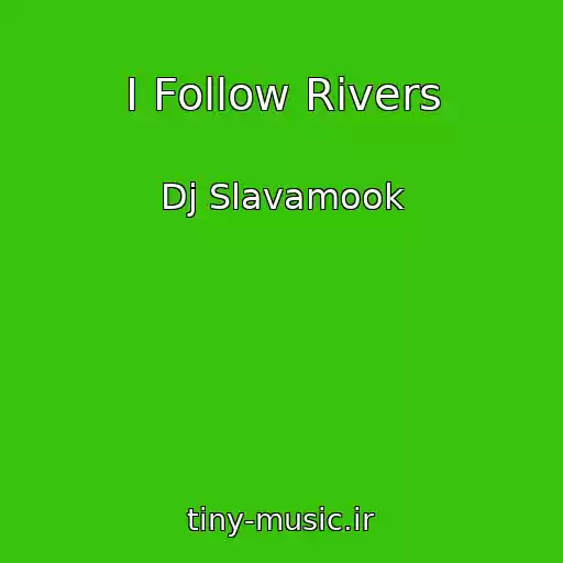 کاور آهنگ I Follow Rivers از Dj Slavamook