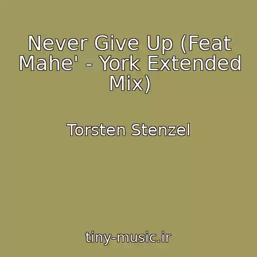 کاور آهنگ Never Give Up (Feat Mahe' - York Extended Mix) از Torsten Stenzel