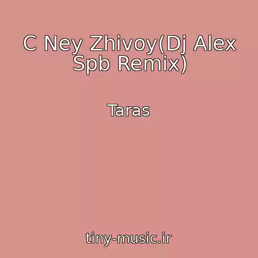 کاور آهنگ C Ney Zhivoy(Dj Alex Spb Remix) از Taras