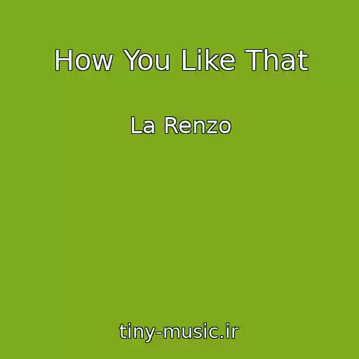 کاور آهنگ How You Like That از La Renzo
