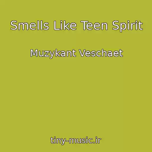 کاور آهنگ Smells Like Teen Spirit از Muzykant Veschaet