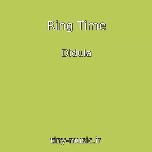 کاور آهنگ Ring Time از Didula