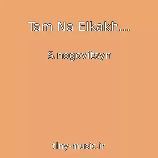کاور آهنگ Tam Na Elkakh... از S.nogovitsyn