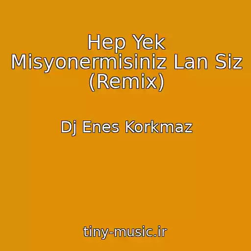 کاور آهنگ Hep Yek Misyonermisiniz Lan Siz (Remix) از Dj Enes Korkmaz