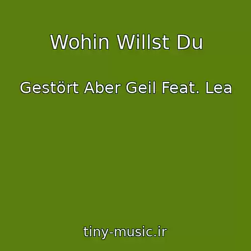 کاور آهنگ Wohin Willst Du از Gestört Aber Geil Feat. Lea