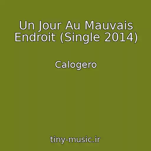 کاور آهنگ Un Jour Au Mauvais Endroit (Single 2014) از Calogero
