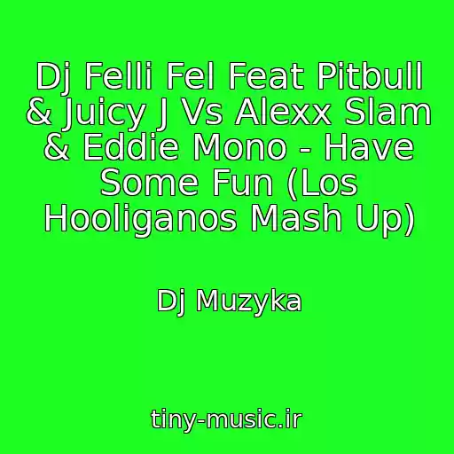 کاور آهنگ Dj Felli Fel Feat Pitbull & Juicy J Vs Alexx Slam & Eddie Mono - Have Some Fun (Los Hooliganos Mash Up) از Dj Muzyka