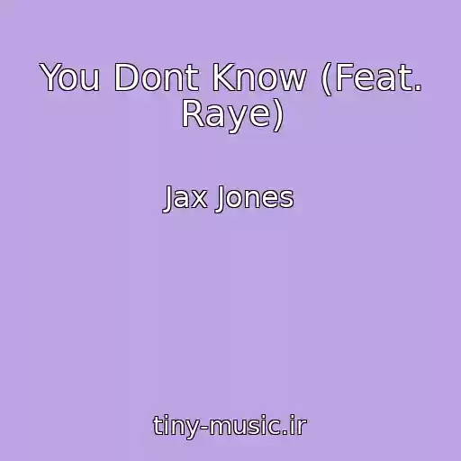 کاور آهنگ You Dont Know (Feat. Raye) از Jax Jones