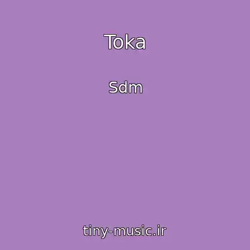 کاور آهنگ Toka از Sdm