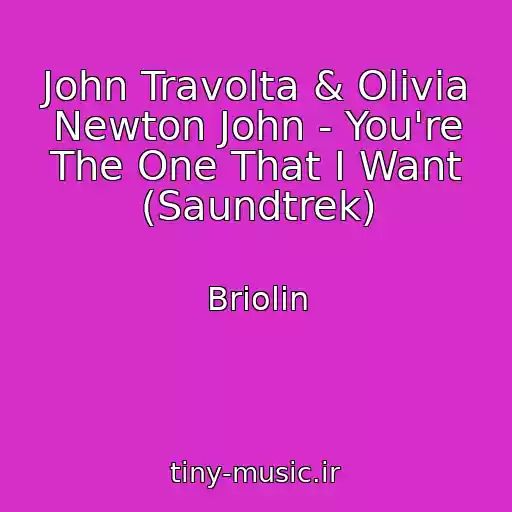کاور آهنگ John Travolta & Olivia Newton John - You're The One That I Want (Saundtrek) از Briolin