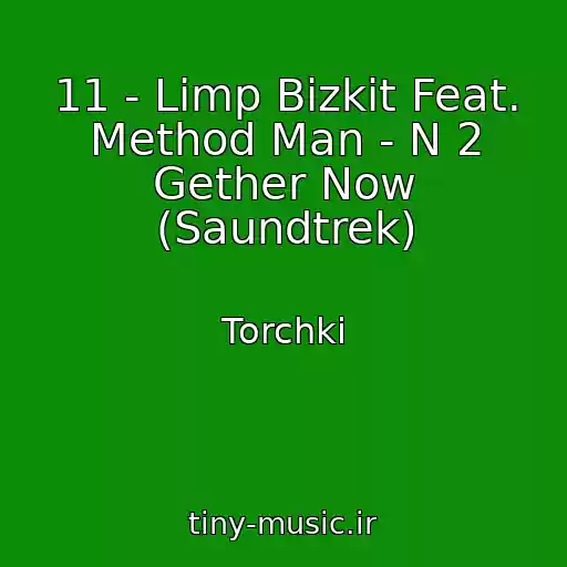 کاور آهنگ 11 - Limp Bizkit Feat. Method Man - N 2 Gether Now (Saundtrek) از Torchki