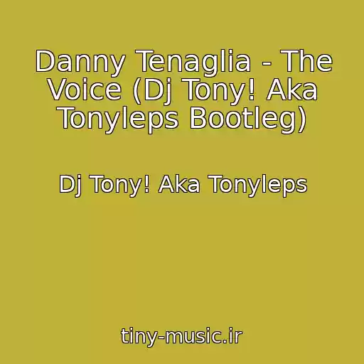 کاور آهنگ Danny Tenaglia - The Voice (Dj Tony! Aka Tonyleps Bootleg) از Dj Tony! Aka Tonyleps
