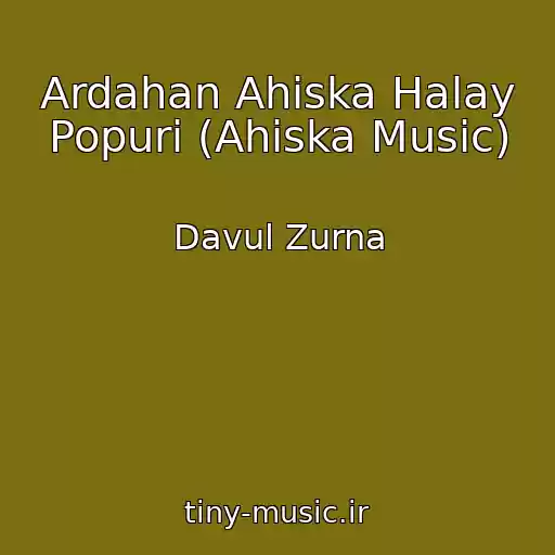 کاور آهنگ Ardahan Ahiska Halay Popuri (Ahiska Music) از Davul Zurna