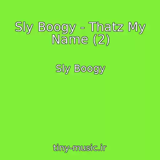 کاور آهنگ Sly Boogy - Thatz My Name (2) از Sly Boogy
