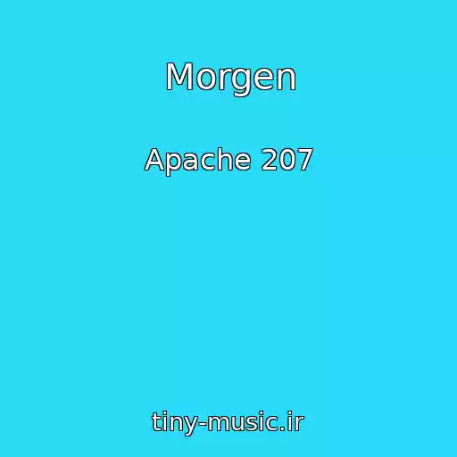 کاور آهنگ Morgen از Apache 207