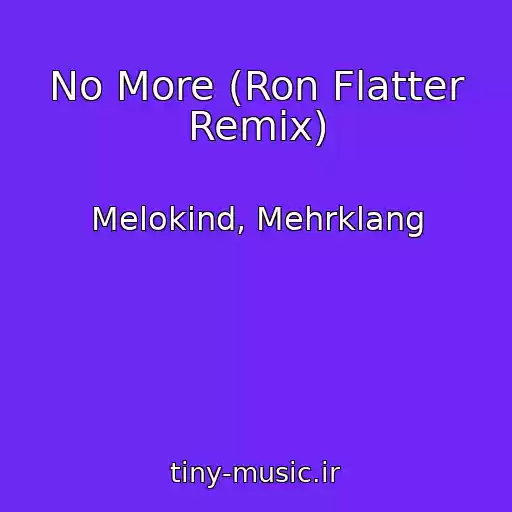 کاور آهنگ No More (Ron Flatter Remix) از Melokind, Mehrklang