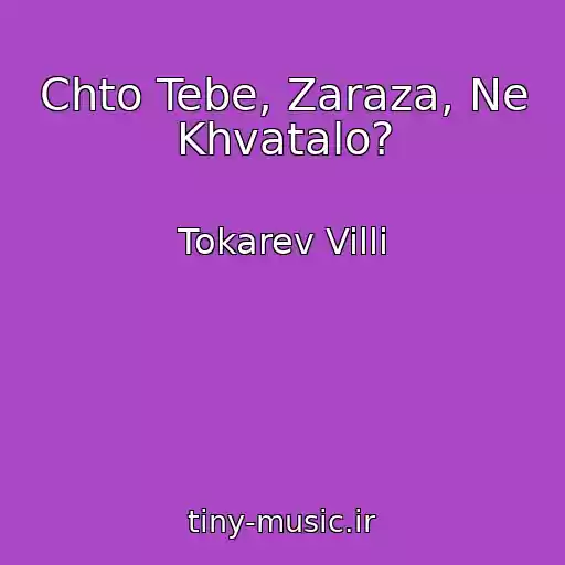 کاور آهنگ Chto Tebe, Zaraza, Ne Khvatalo? از Tokarev Villi
