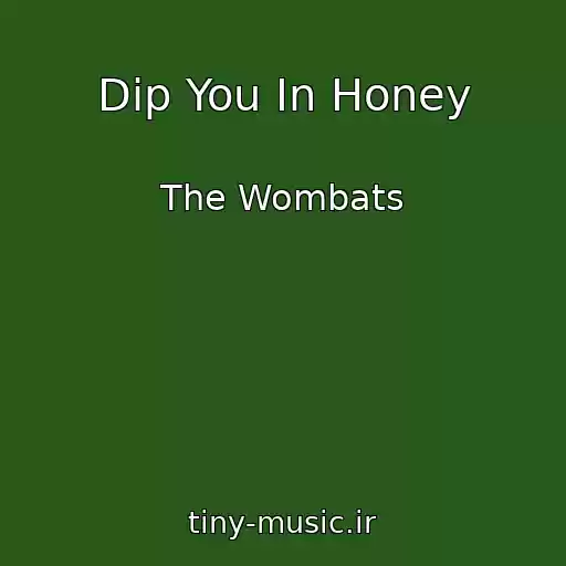 کاور آهنگ Dip You In Honey از The Wombats