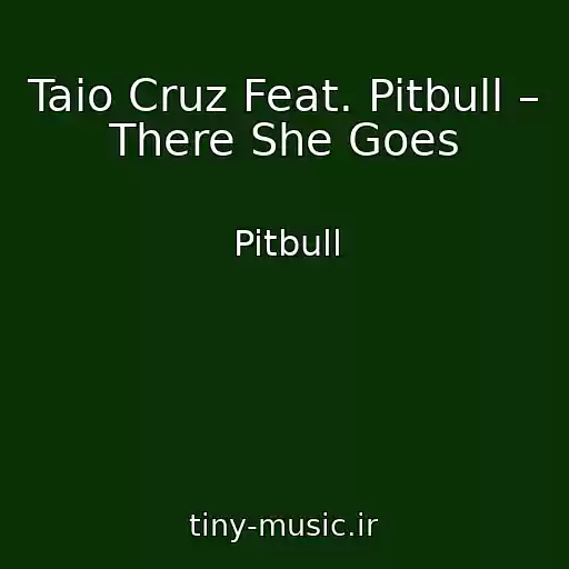 کاور آهنگ Taio Cruz Feat. Pitbull – There She Goes از Pitbull