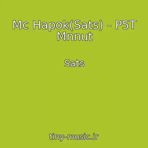 کاور آهنگ Mc Hapok(Sats) - P5T Mnnut از Sats
