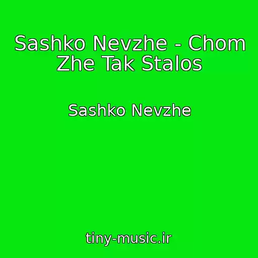 کاور آهنگ Sashko Nevzhe - Chom Zhe Tak Stalos از Sashko Nevzhe