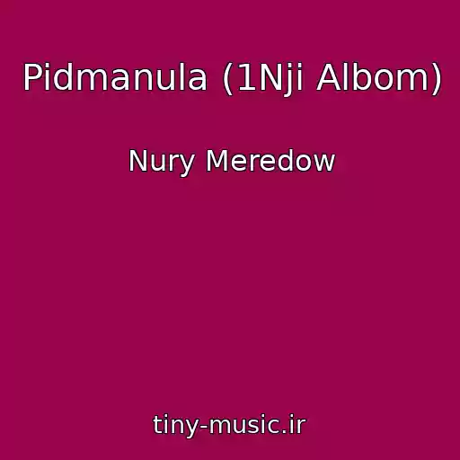 کاور آهنگ Pidmanula (1Nji Albom) از Nury Meredow