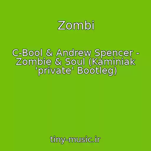 کاور آهنگ Zombi از C-Bool & Andrew Spencer - Zombie & Soul (Kaminiak 'private' Bootleg)