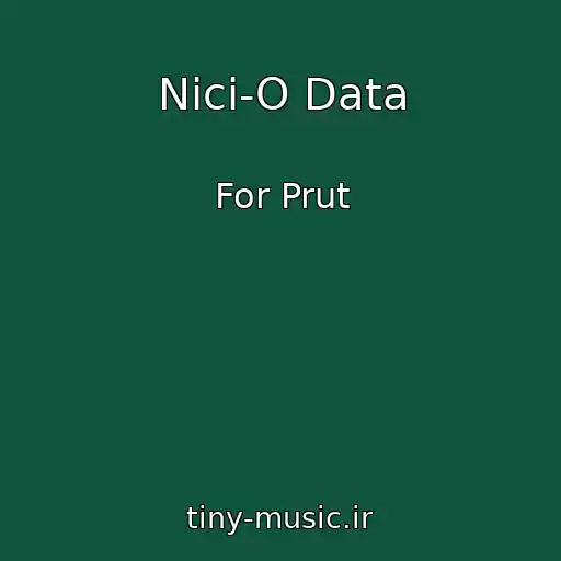 کاور آهنگ Nici-O Data از For Prut