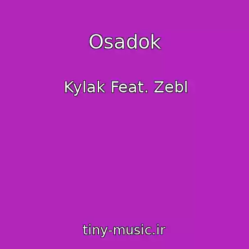 کاور آهنگ Osadok از Kylak Feat. Zebl