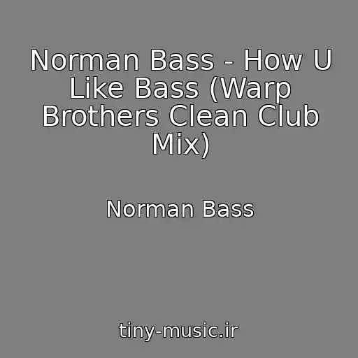 کاور آهنگ Norman Bass - How U Like Bass (Warp Brothers Clean Club Mix) از Norman Bass