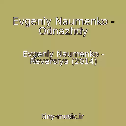 کاور آهنگ Evgeniy Naumenko - Odnazhdy از Evgeniy Naumenko - Reversiya (2014)