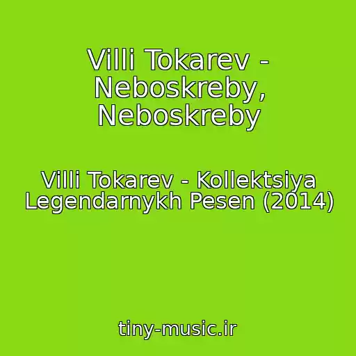 کاور آهنگ Villi Tokarev - Neboskreby, Neboskreby از Villi Tokarev - Kollektsiya Legendarnykh Pesen (2014)