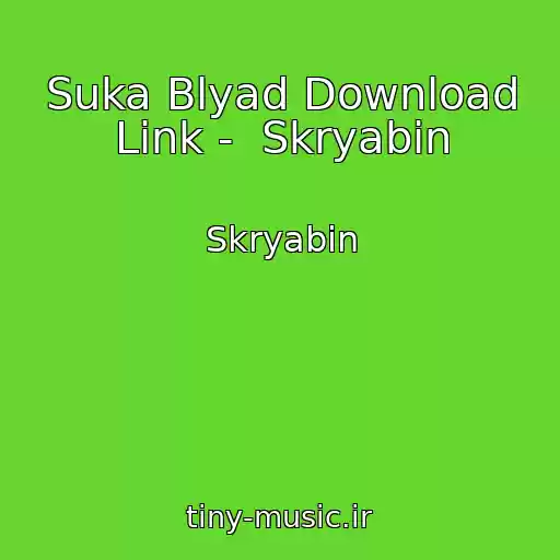 کاور آهنگ Suka Blyad Download Link -  Skryabіn از Skryabіn