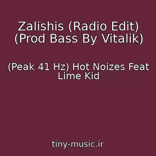 کاور آهنگ Zalishis (Radio Edit) (Prod Bass By Vitalik) از (Peak 41 Hz) Hot Noizes Feat Lime Kid