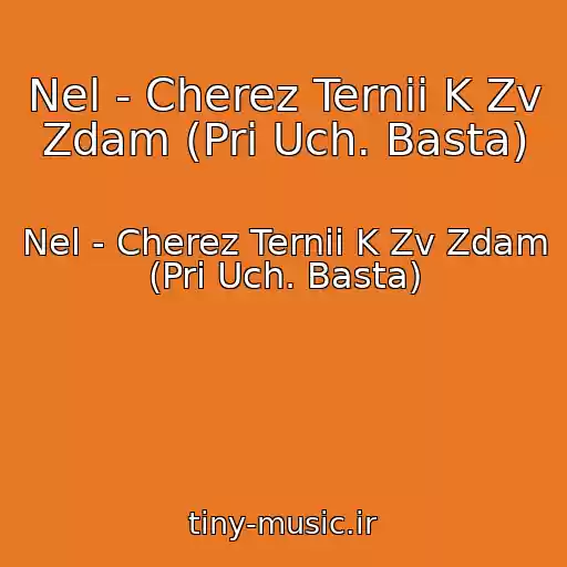 کاور آهنگ Nel - Cherez Ternii K Zv Zdam (Pri Uch. Basta) از Nel - Cherez Ternii K Zv Zdam (Pri Uch. Basta)