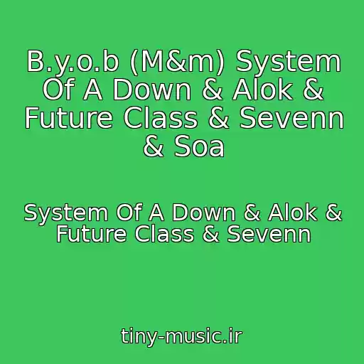 کاور آهنگ B.y.o.b (M&m) System Of A Down & Alok & Future Class & Sevenn & Soa از System Of A Down & Alok & Future Class & Sevenn